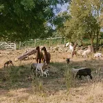 Slow Village Pornic Camping La Plaine-sur-Mer