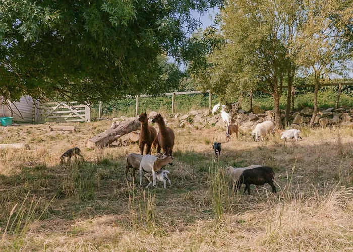 Slow Village Pornic キャンプ場 ラ・プレンヌ・シュル・メール